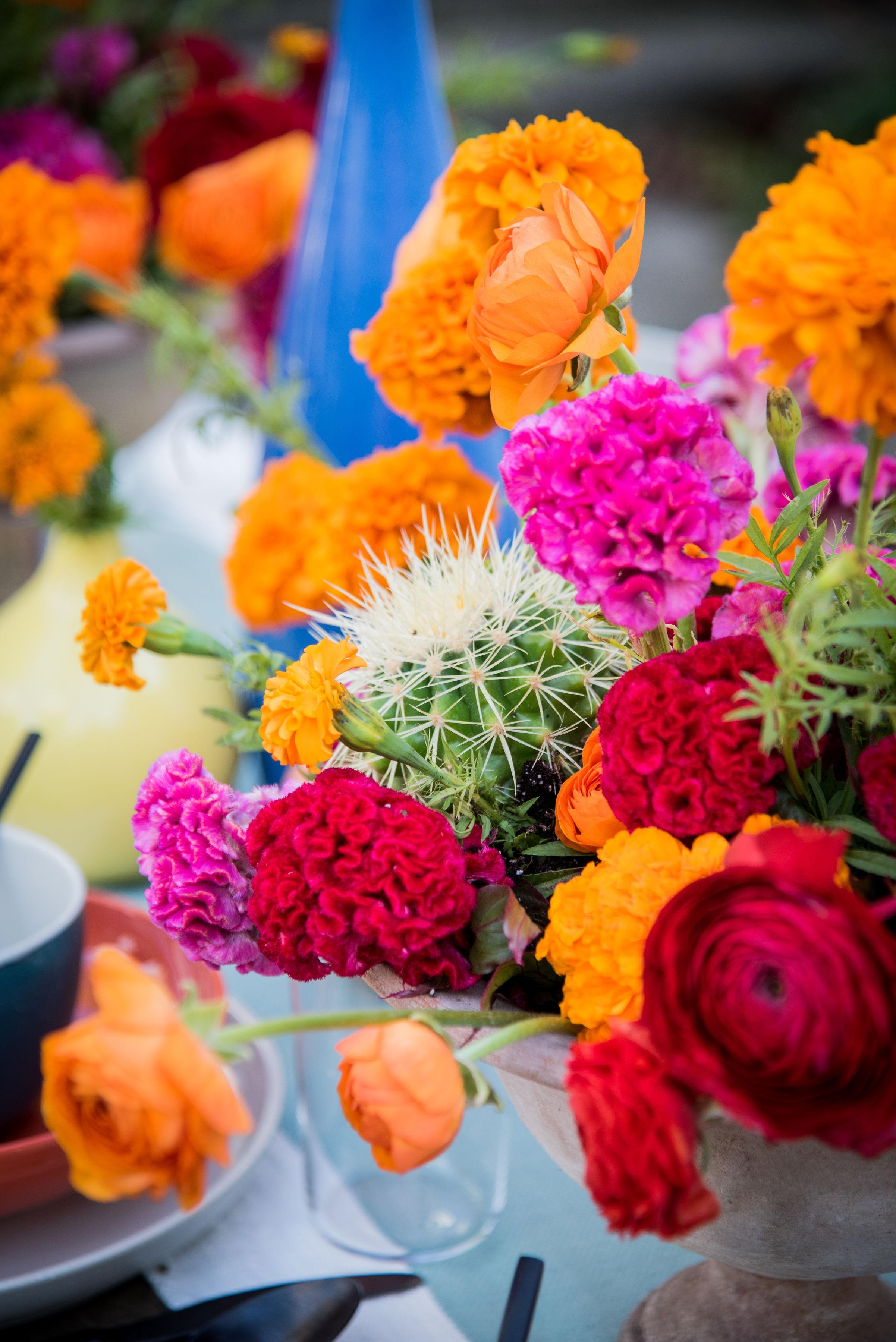 Happy Cinco de Mayo!