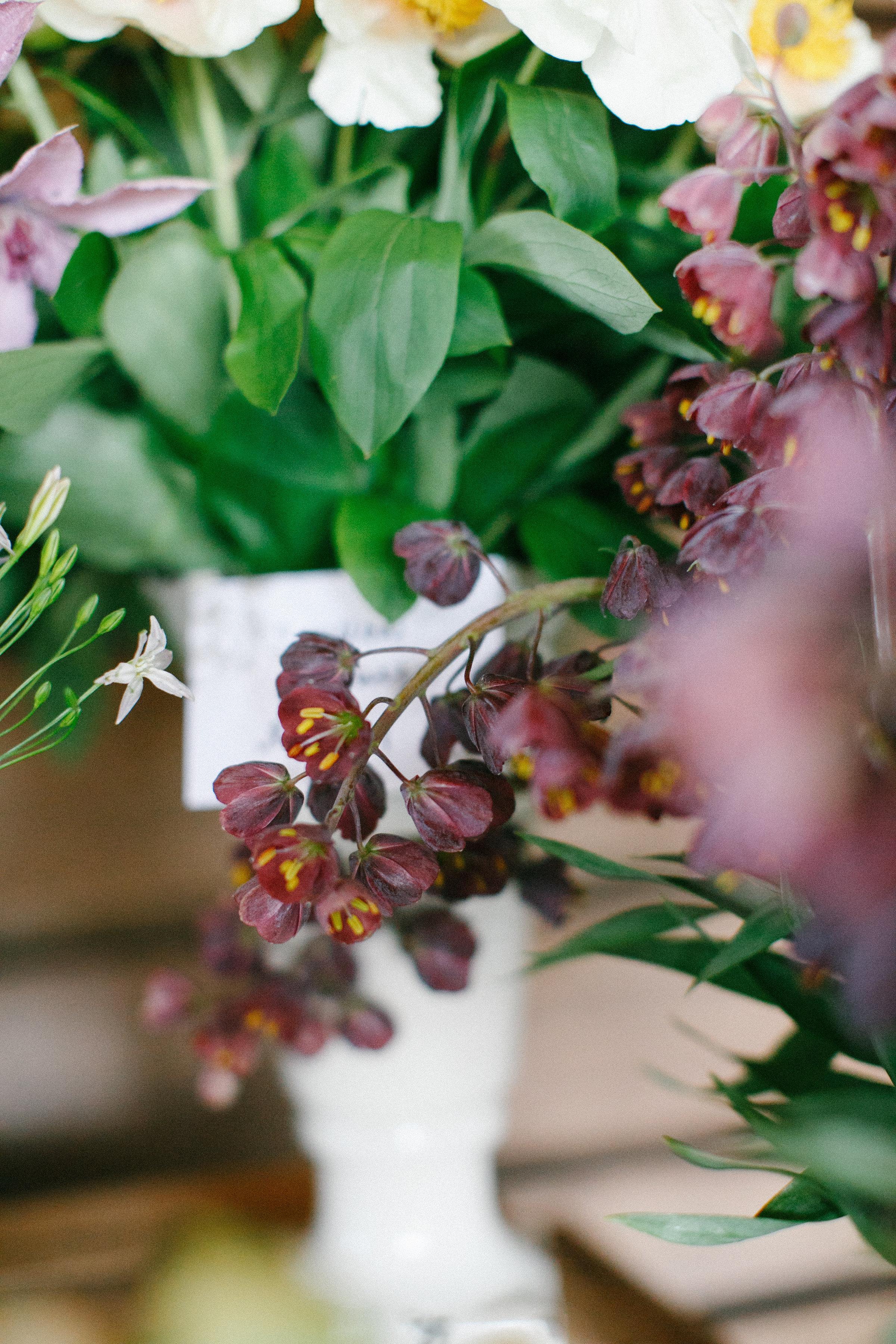 Dutch Masters Design Class!