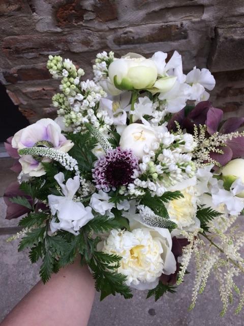 Lavender at the Bridgeport Art Center