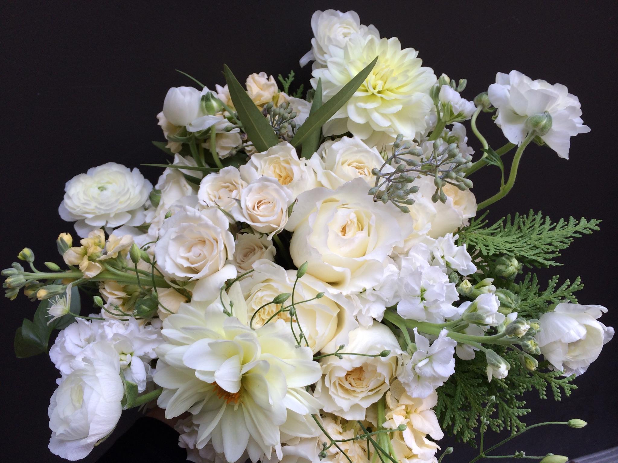 Sunny October Disposition