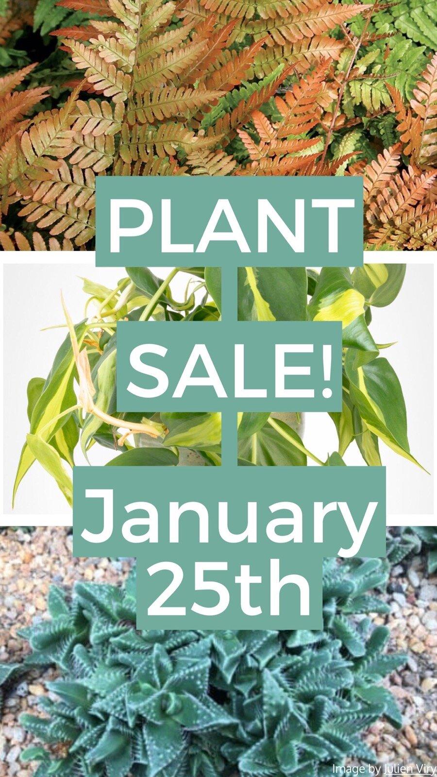 PLANTS MAKE PEOPLE HAPPY!