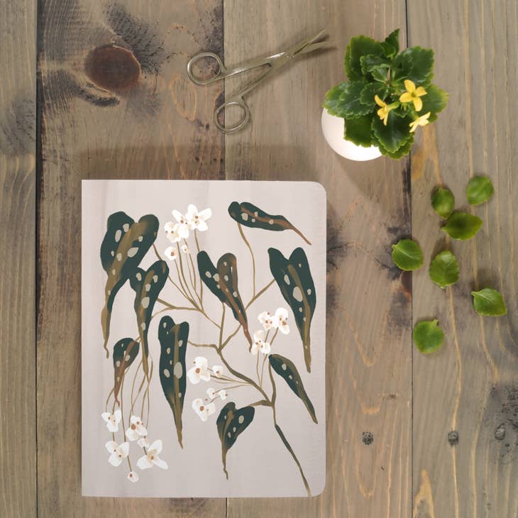 Begonia Plant Notebook