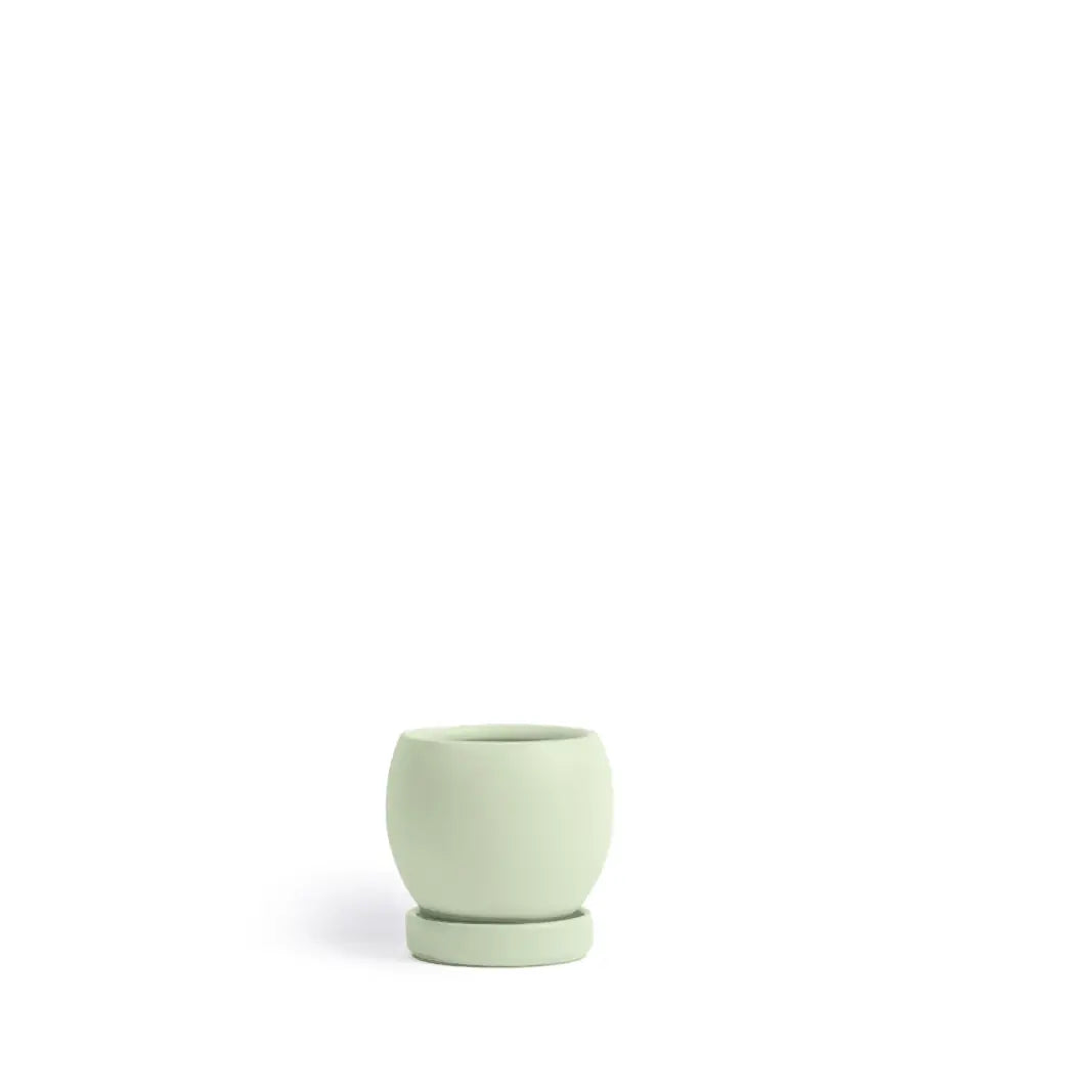 4.25" Bolle Pot Sage