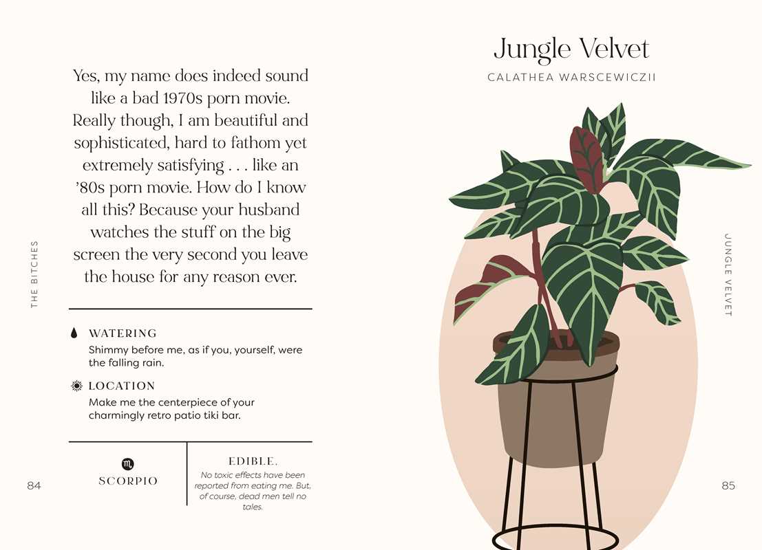 Houseplants and Their Fucked-Up Thoughts by Carlyle Christoff: Hardcover; 96 pages / English