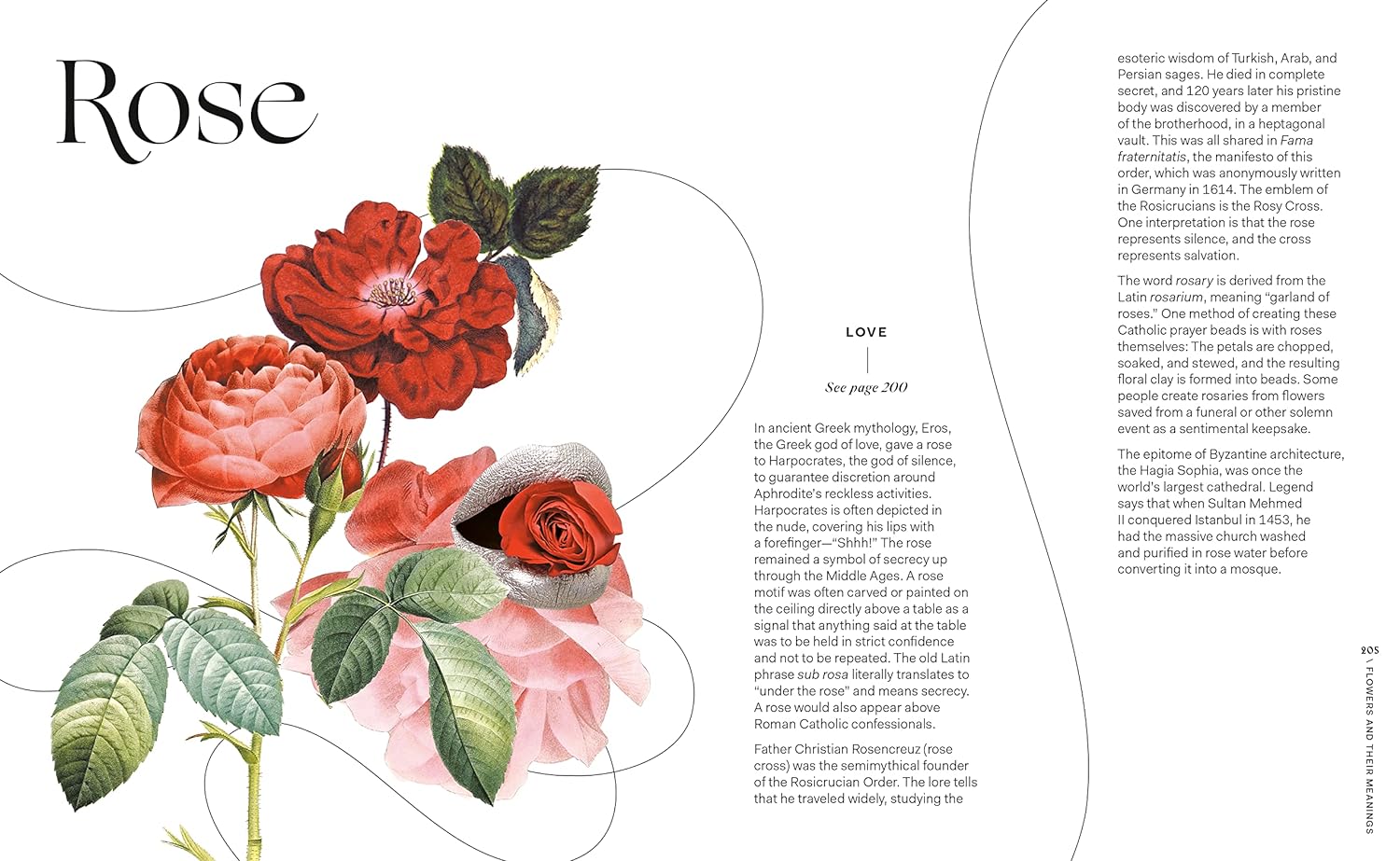 Flowers and Their Meanings