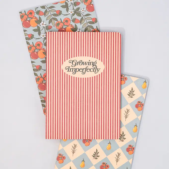 Notebook Set, Growing Imperfectly