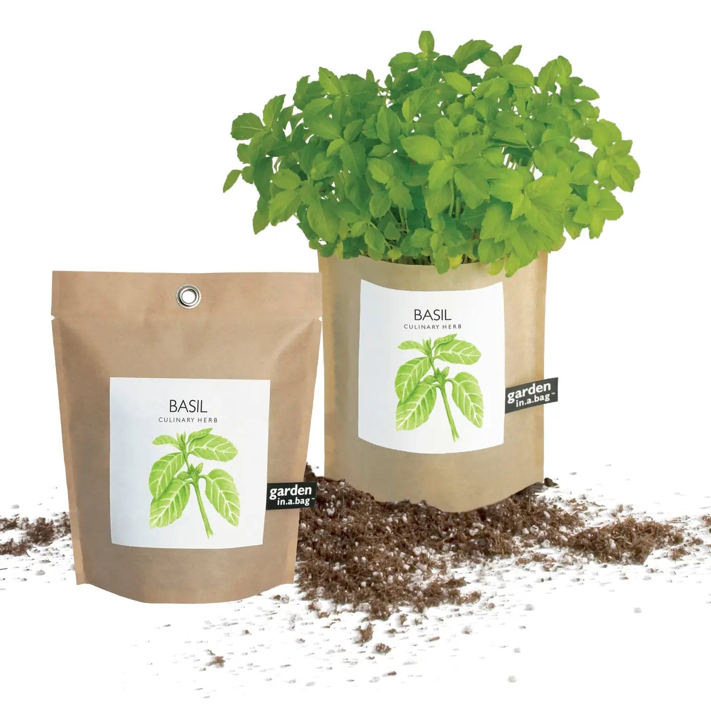 Garden In A Bag - Basil