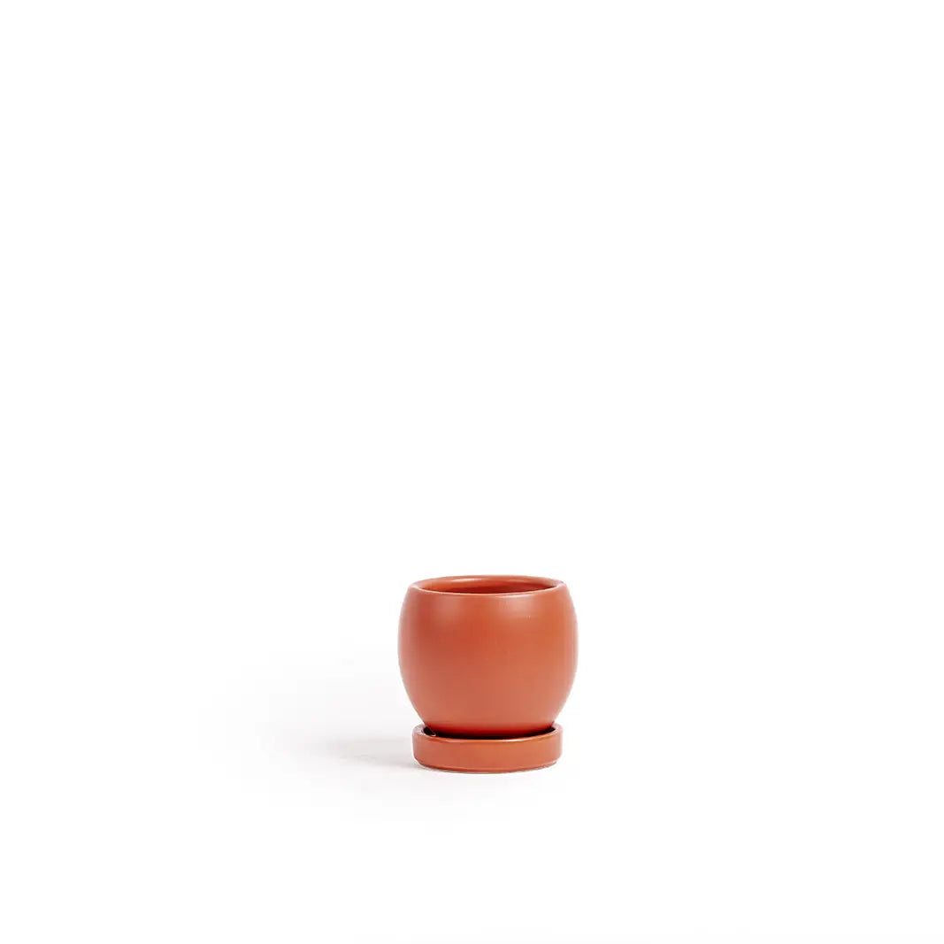 4.25" Bolle Pot Rust