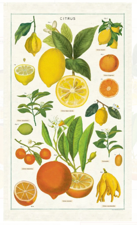 Tea Towel Citrus