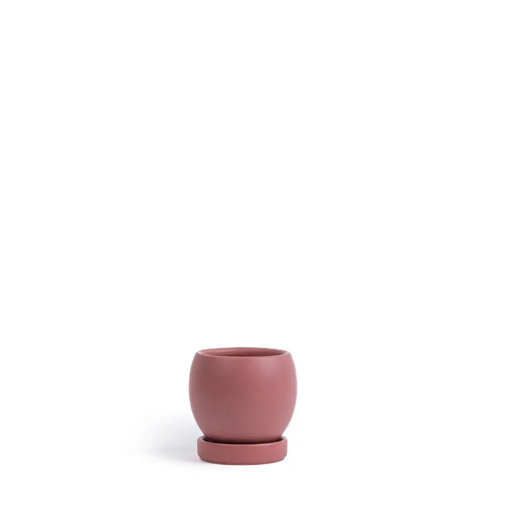 4.25" Dusty Rose Bolle Pot