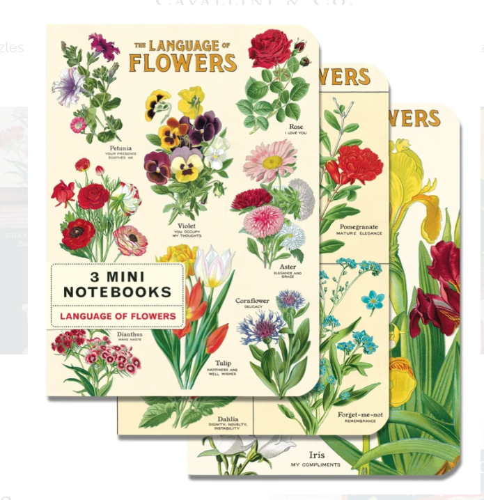Set of 3 Mini Notebooks Language of Flowers
