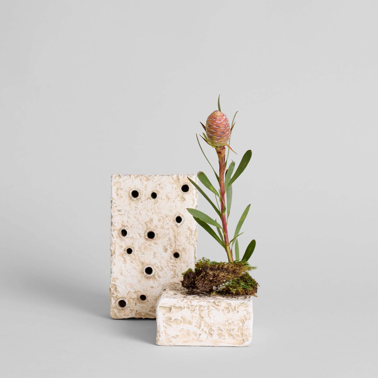 Ceramic Frogs Block | Square