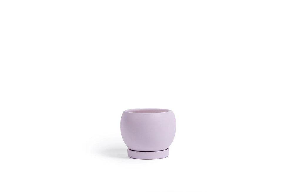 6" Bollé Pots W/Water Saucers