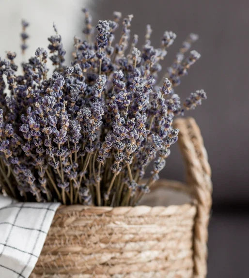 Lavender Dried Bundle