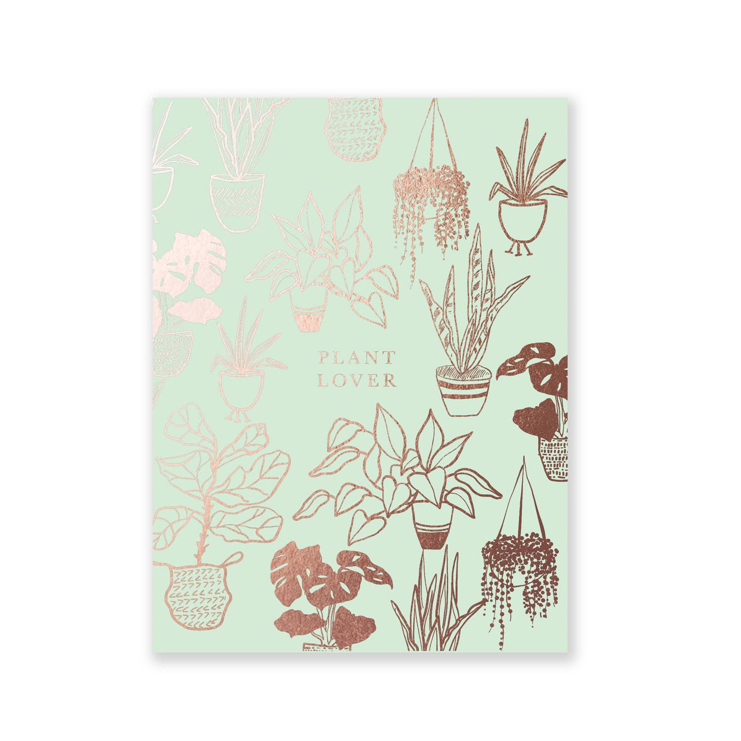 Mint Plant Lover A2 Pocket Jotter