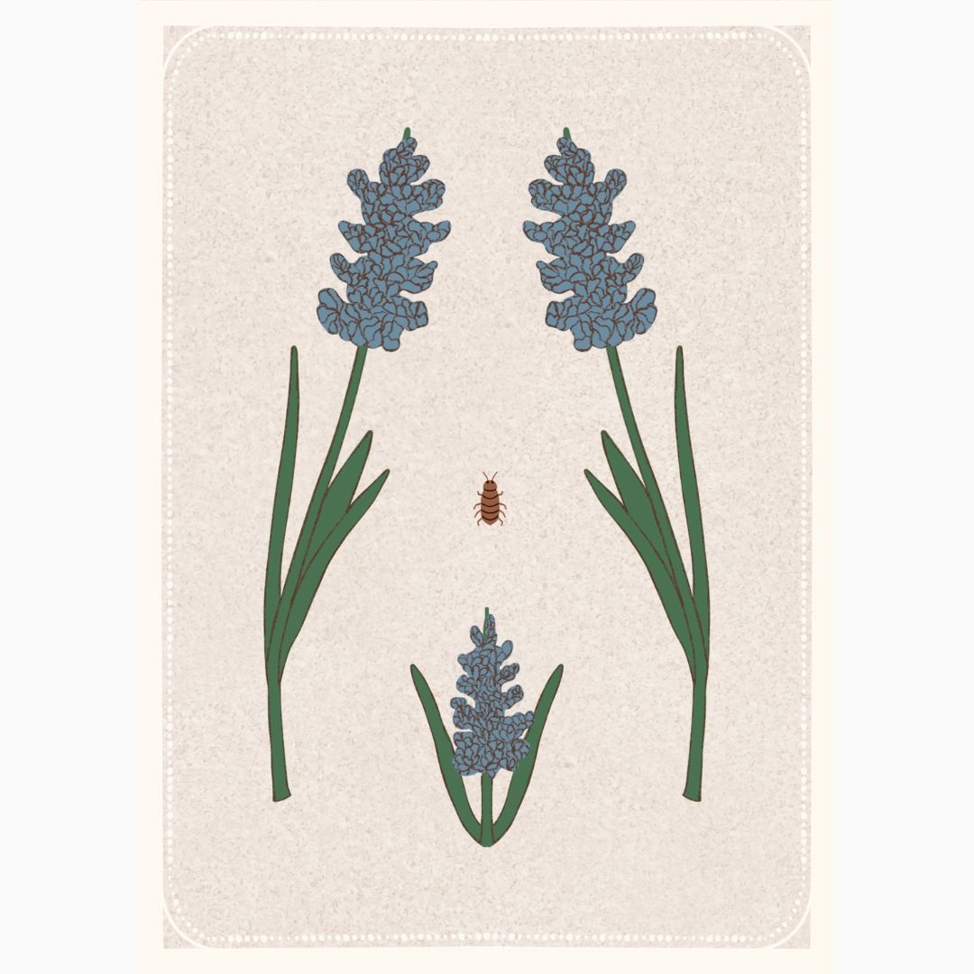 Women's Torso with Hyacinth Print
