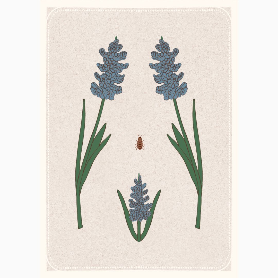Women's Torso with Hyacinth Print