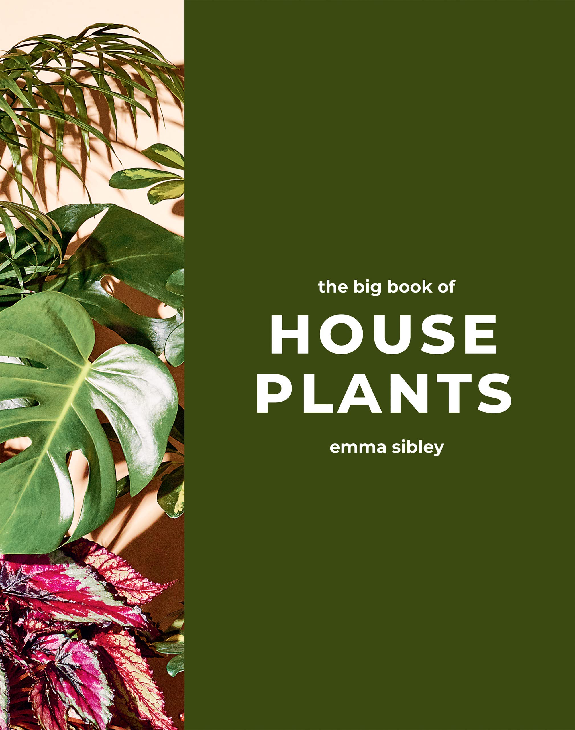 House Plants