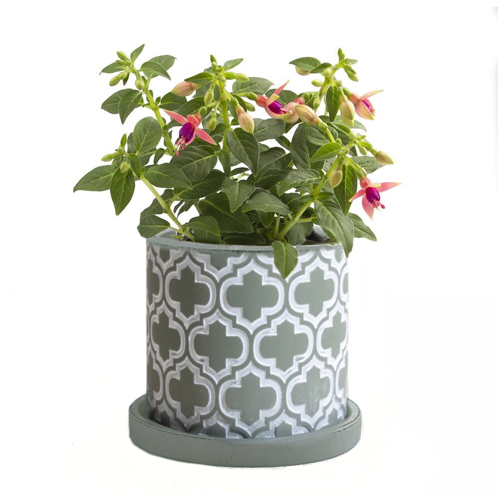 Big Balter Pot & Saucer