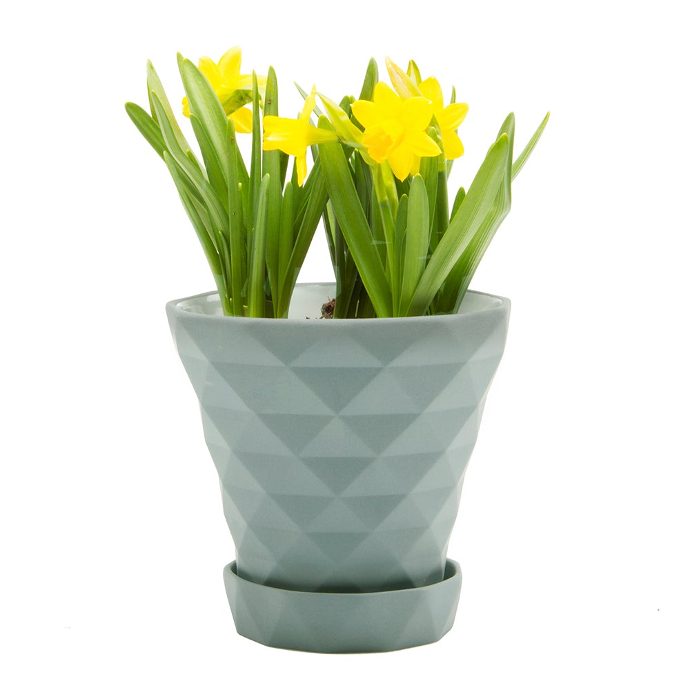 Big Diamond Planter