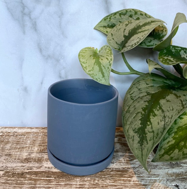 Dojo Pot & Saucer