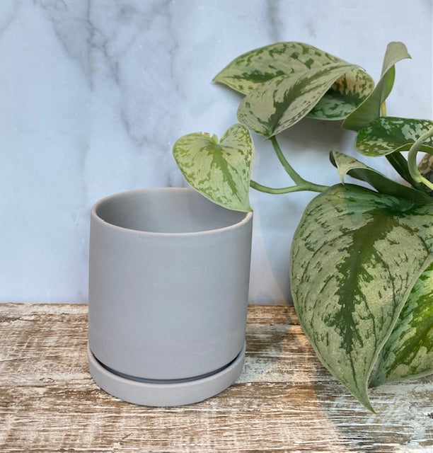 Dojo Pot & Saucer