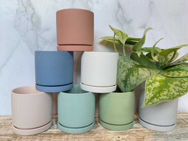 Dojo Pot & Saucer