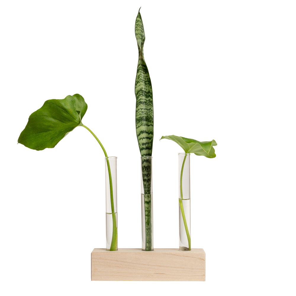 Trio Propagation Station