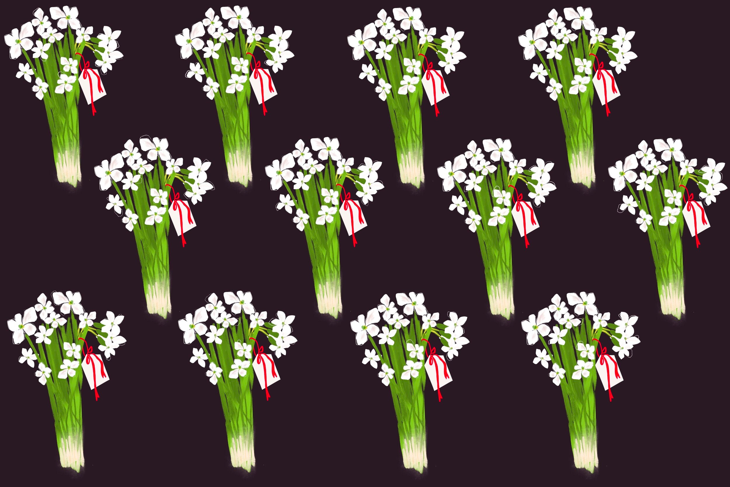 Paperwhites Earth Gift Wrap