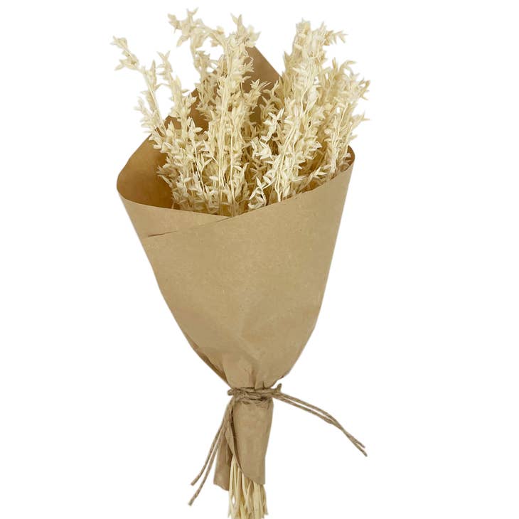 Mini Corn Broom Grass Bundle