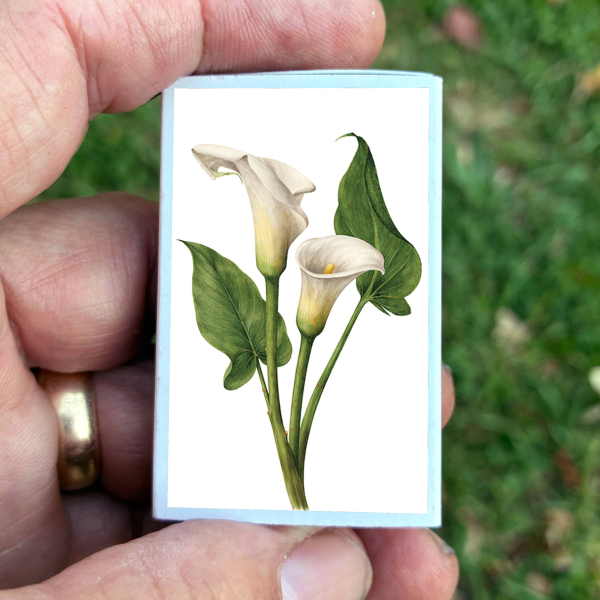 Matches • Calla Lily Flowers • Home Decor for Candles