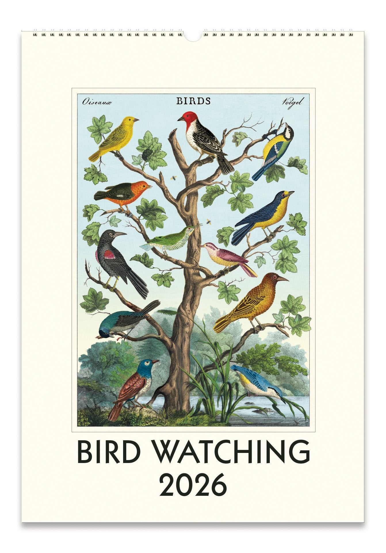 Bird Watching 2026 Wall Calendar