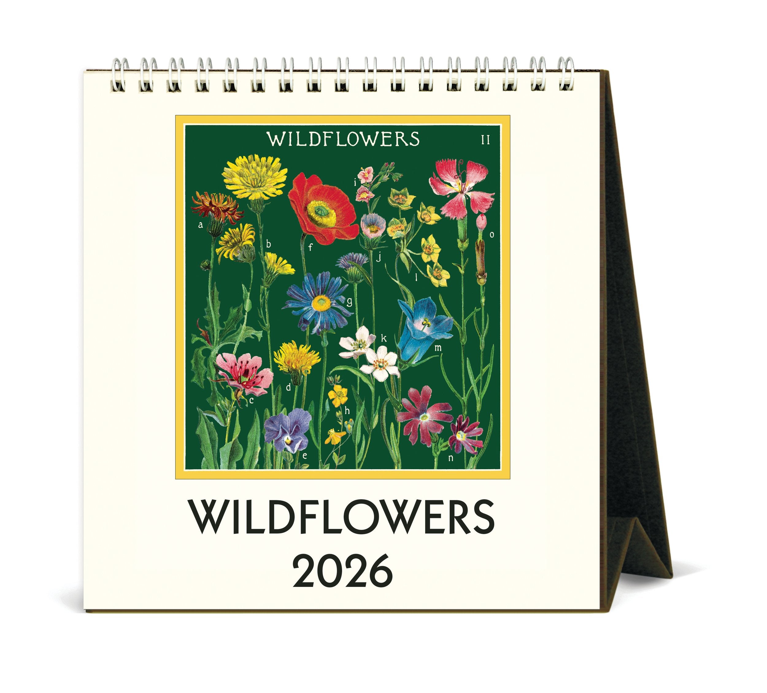 Wildflowers Desk Calendar 2026