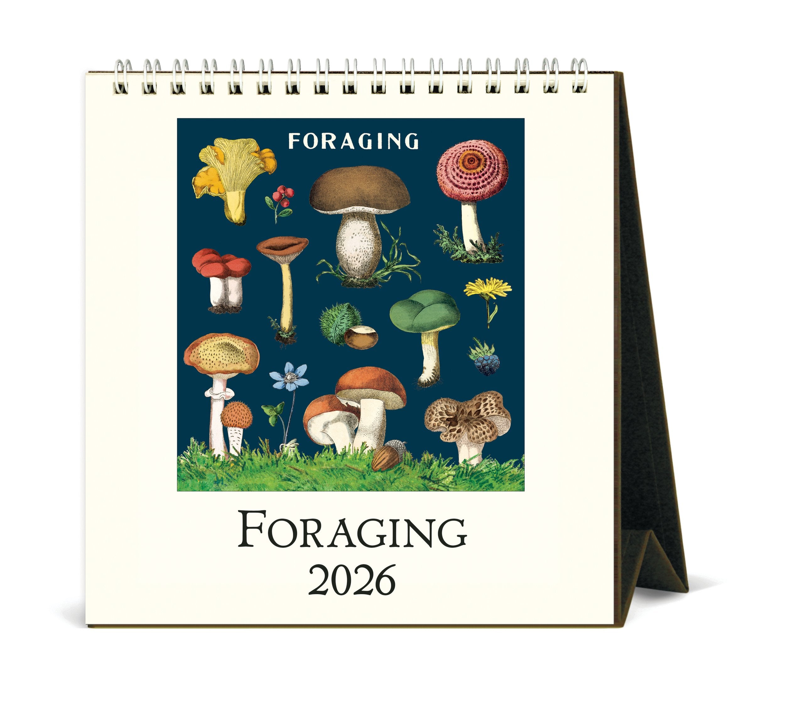 Foraging Desk Calendar 2026
