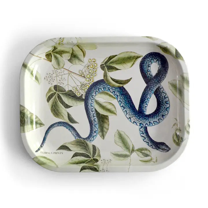 Small Metal Vintage Blue Snake Trinket Tray