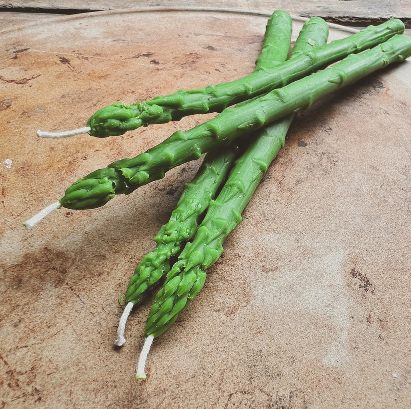 Asparagus Candle