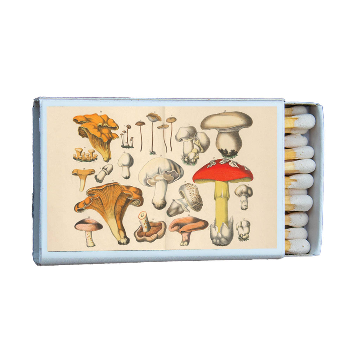Matches • Mushroom Variety • Home Decor for Candles