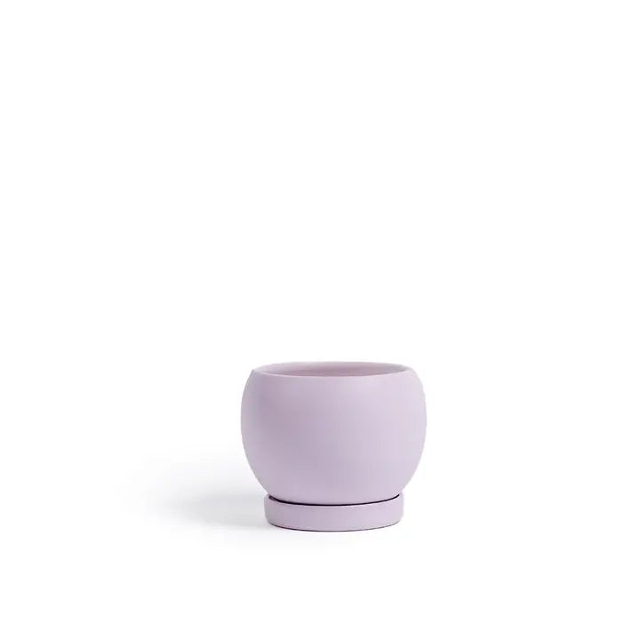 5" Bollé Pots W/Water Saucers