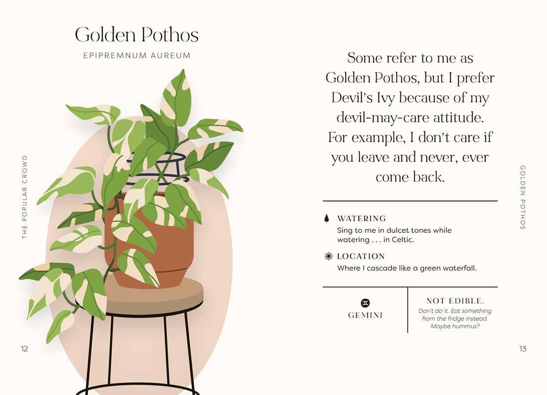 Houseplants and Their Fucked-Up Thoughts by Carlyle Christoff: Hardcover; 96 pages / English