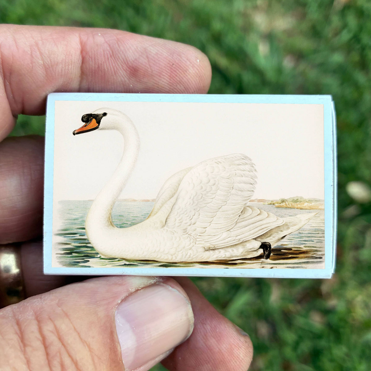 Matches • Swan Matchboxes • Home Decor for Candles & Incense