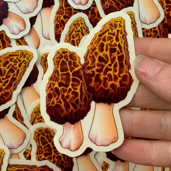 Morel Sticker