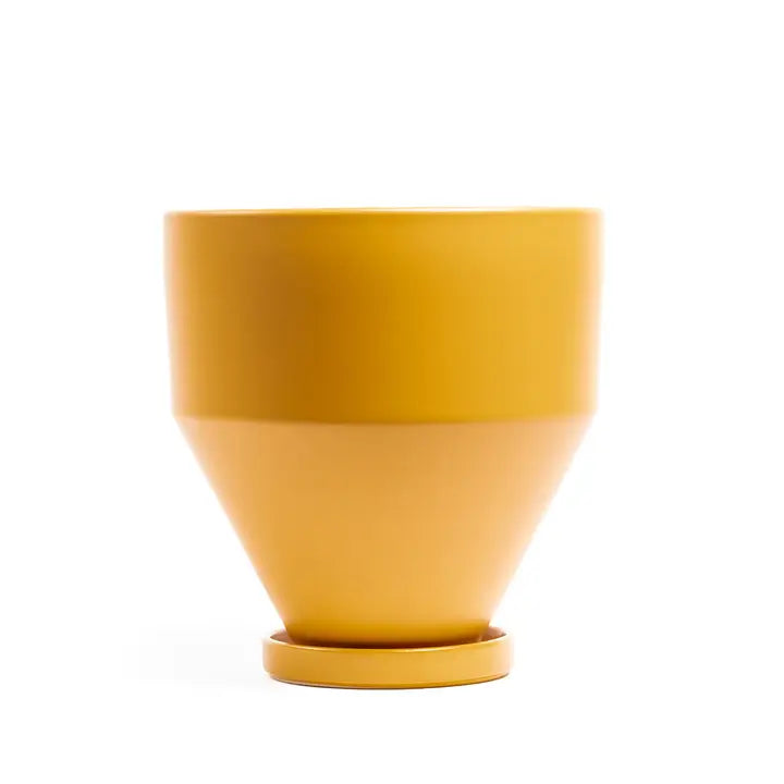 6.5" Mustard Jouet Pots W/Water Saucers