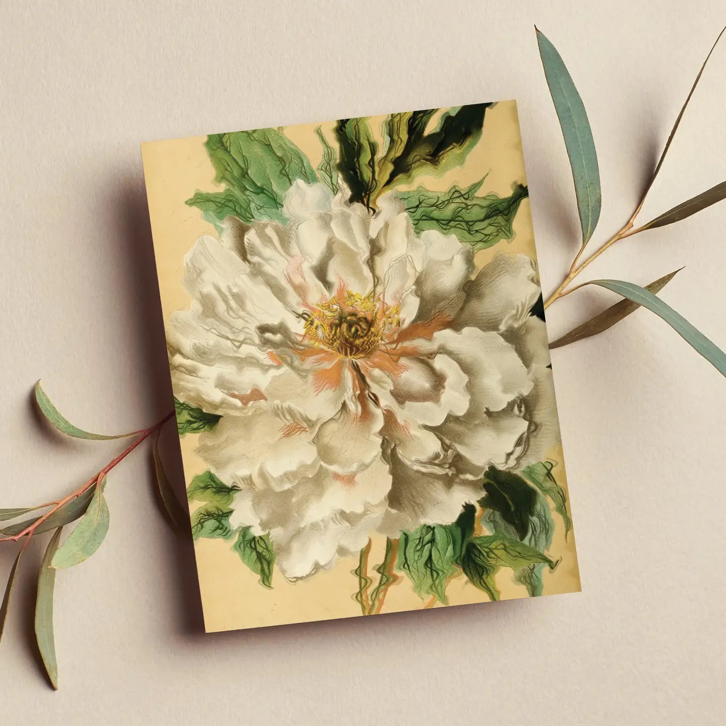 Vintage Flowers Card #1
