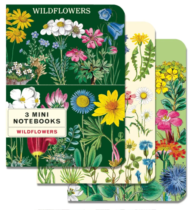 Set of 3 Mini Notebooks Wildflowers