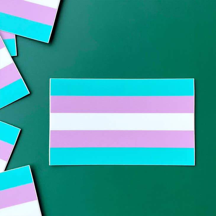 Trans Pride Sticker