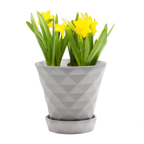 Big Diamond Planter