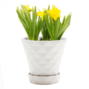 Big Diamond Planter