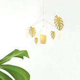 Monstera Mobile