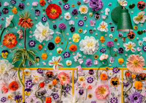 Wallflower Puzzle