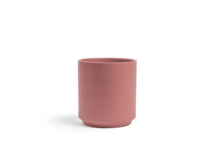 Blush Flower Vase